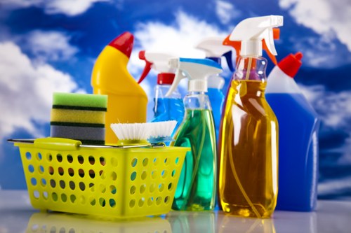 Bathroom cleaning in a Ruislip family home