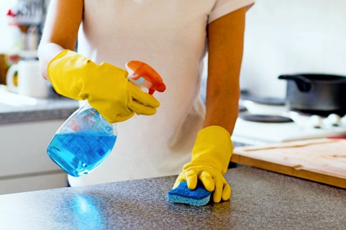 Cleaner Ruislip service for a fresh and tidy home