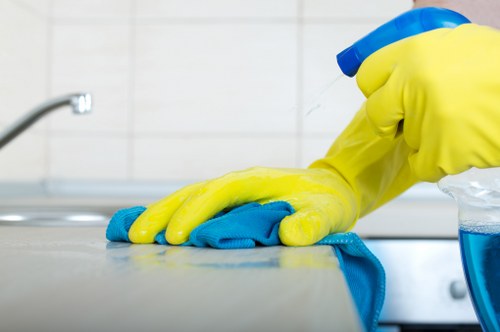 Insurance cover and professional cleaning staff in Ruislip